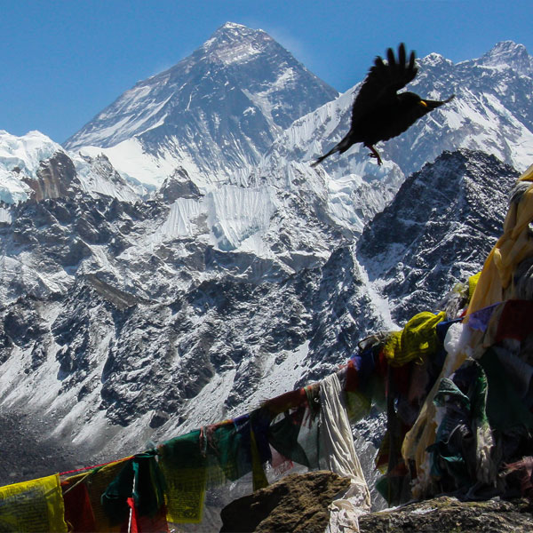 gear-list-everest