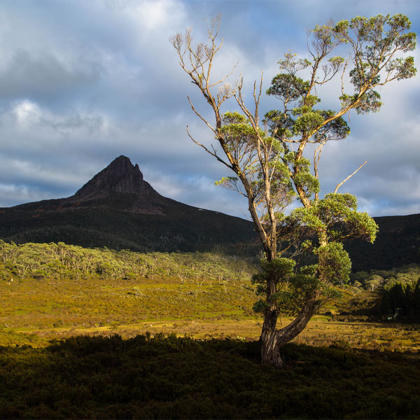 gear-list-overland-track